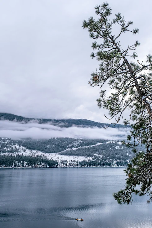 A leaning pine tree, dusted with snow, is in the immediate foreground. Below it lies Kalamalka Lake with two people in a distant canoe close to the near shoreline. Across the lake lie low mountains mostly covered with trees and snow. Clouds are above the mountains and a long, low bank of cloud sits midway up the slope.