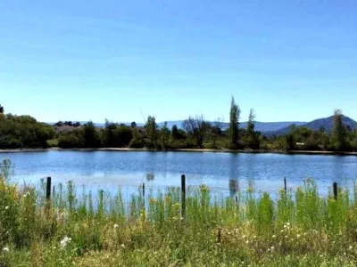 Munson's Pond