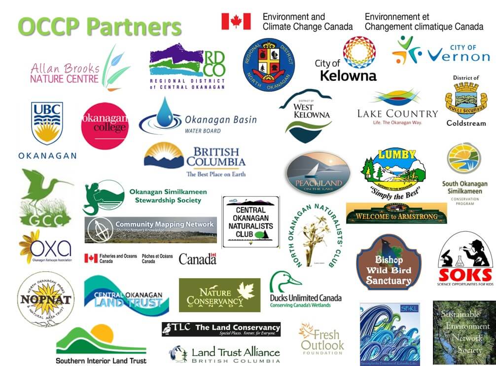 Large listing of the logos of OCCP partners