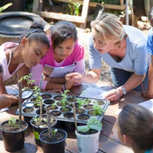 A teacher showing seedlings to students
