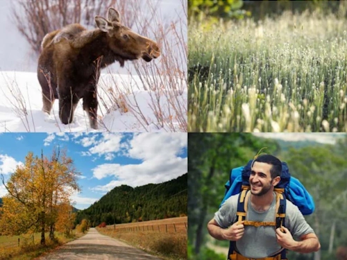 A four image collage. Upper left shows a moose in the snow. Upper right a field of flowering weeds. Lower left shows a dirt road beside a tree with its leaves turning and leading towards forested hills. A smiling backpacker in the woods fills the bottom right.