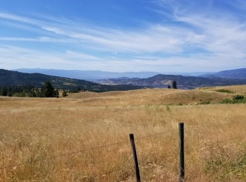 Okanagan grasslands with forested mountains beyond them