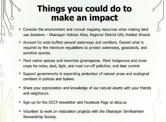 Flier listing things you can do to make an impact