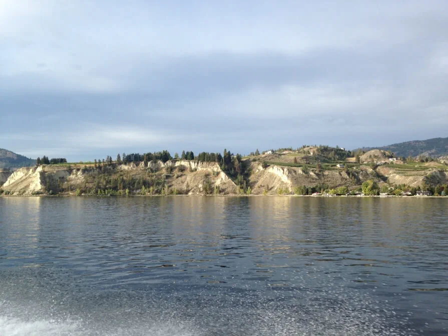 Clay bluffs, with trees and brush, above the shoreline of Okanagan Lake
