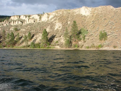 Okanagan Lake shoreline seen from the water. Steep clay bluffs with trees and brush near the water.
